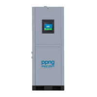 Генератор азота Pneumatech PPNG 50 S
